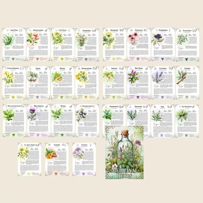 Medicinal Herbs: The Complete Guide to Natural Healing & Herbal Remedies