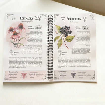 Natural Healing Handbook Spiral Bound Guide with Herbal Remedies and Recipes for Heart Health Blood Sugar Focus Boost 25X17.6Cm