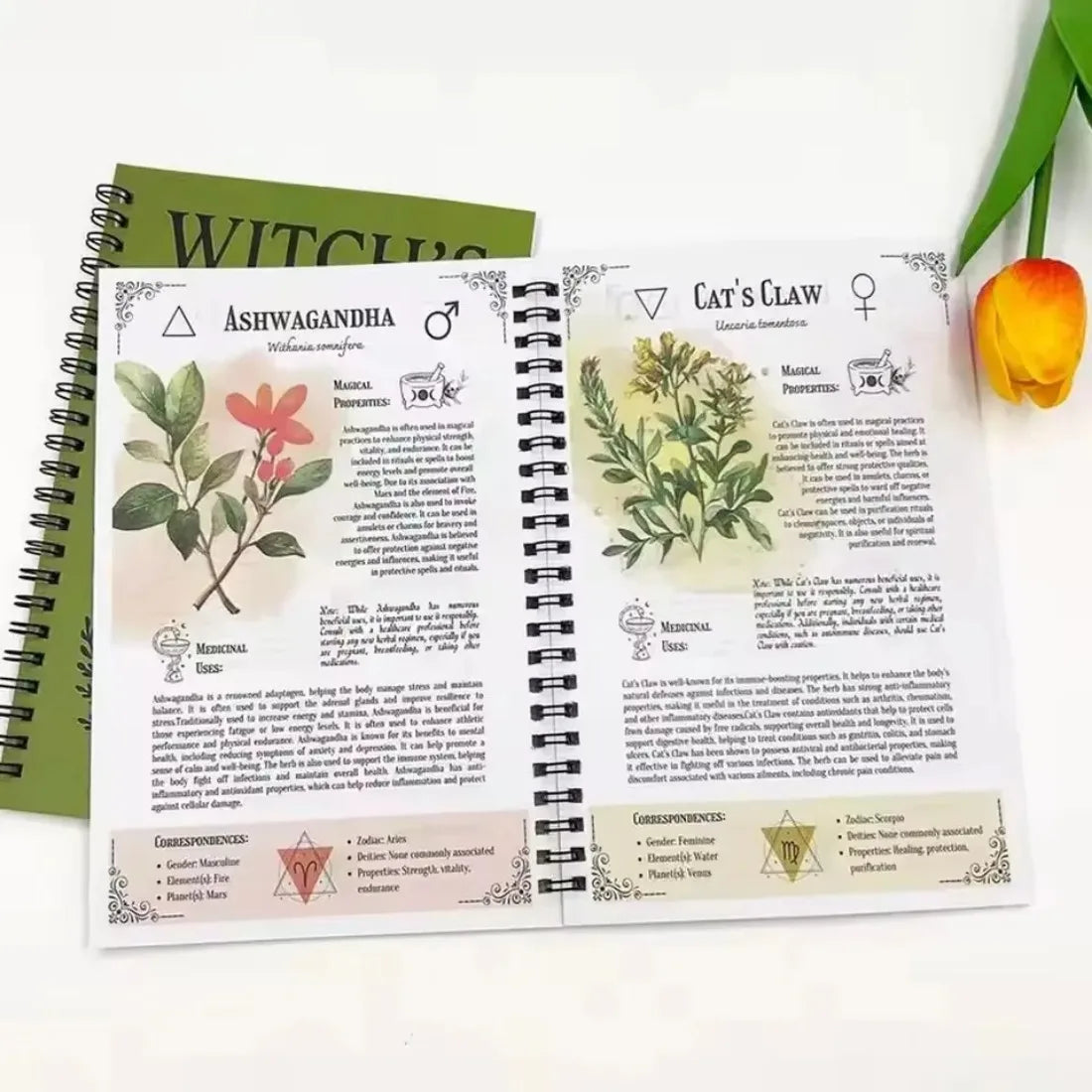 Witch'S Herbal Codex - Magical Herb Guide Book Occult Pagan Witchcraft Reference Witch Herbal Notebook