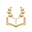 MyGoldenChapter logo