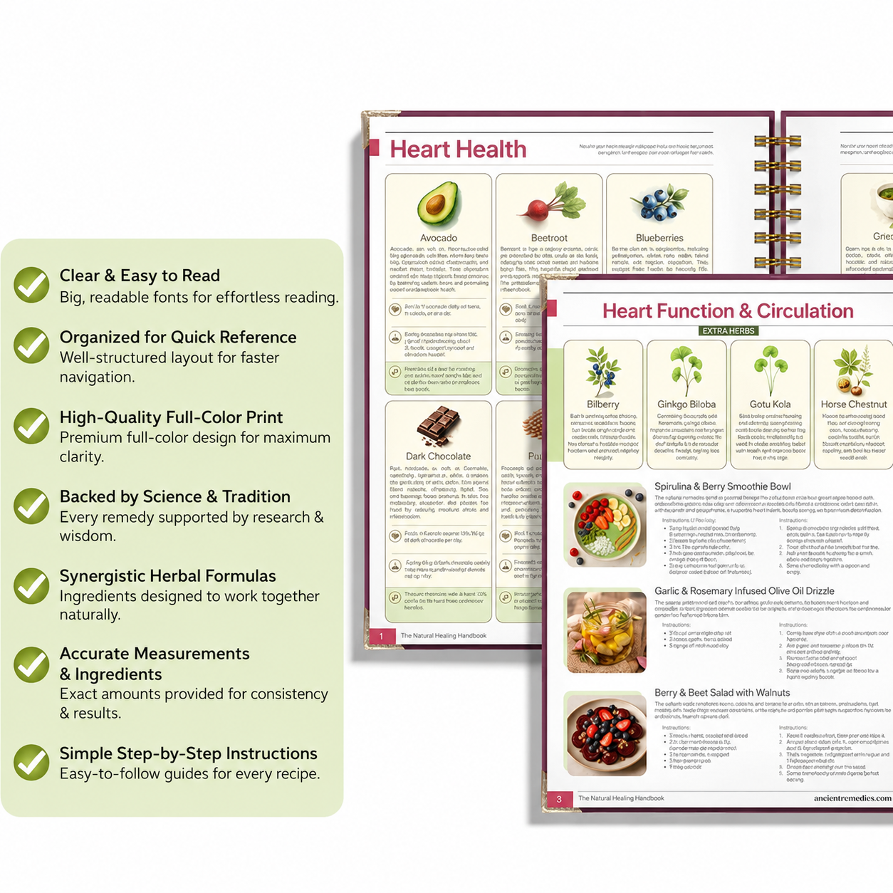 The Natural Healing Handbook Herbal Remedies