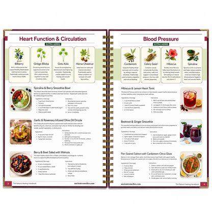 The Natural Healing Handbook Herbal Remedies