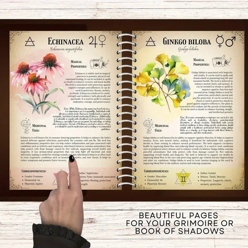 Medicinal Herbs: The Complete Guide to Natural Healing & Herbal Remedies
