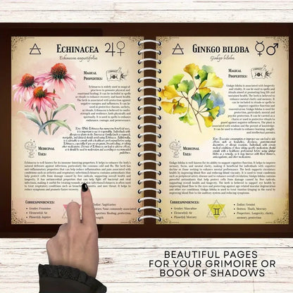 Medicinal Herbs: The Complete Guide to Natural Healing & Herbal Remedies