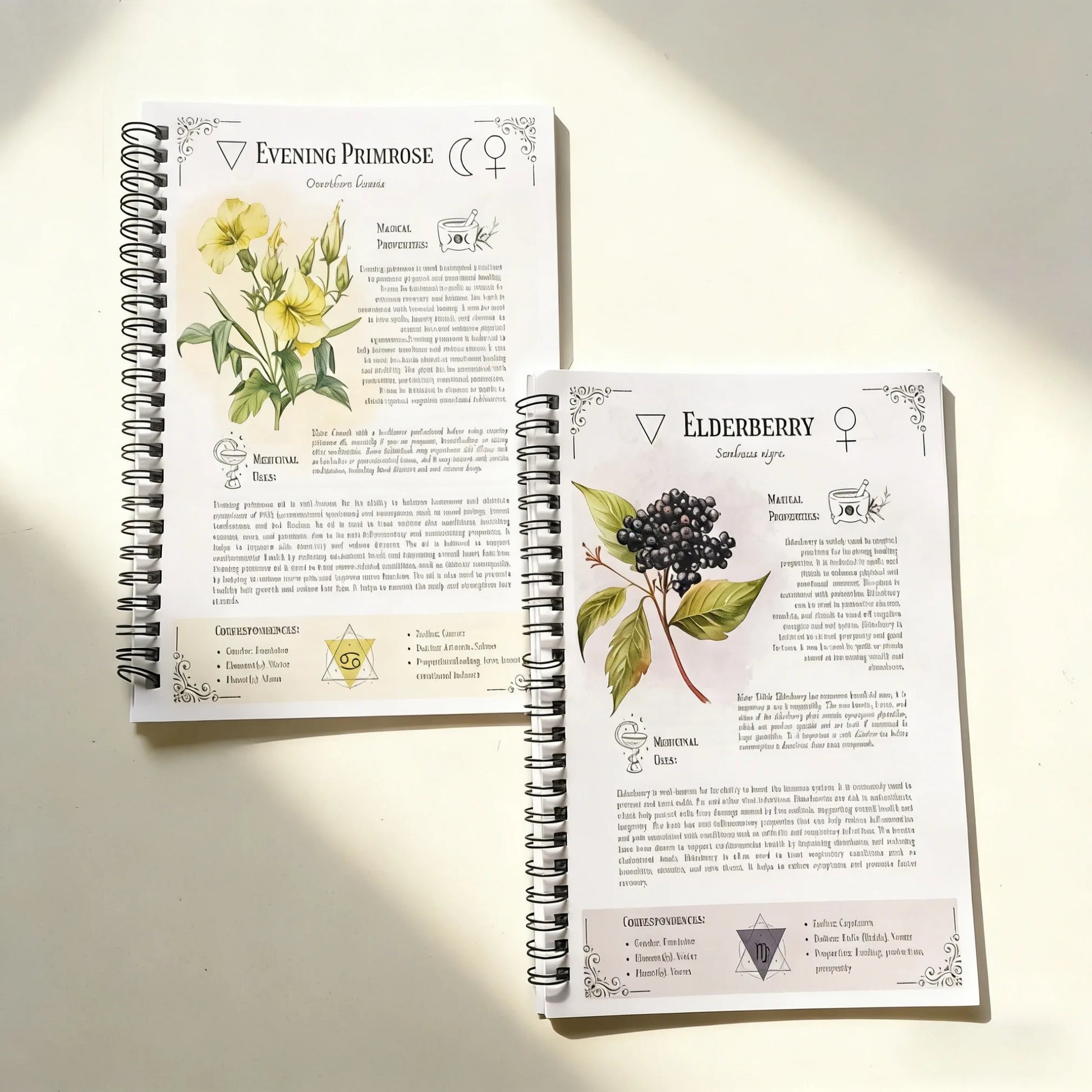 Natural Healing Handbook Spiral Bound Guide with Herbal Remedies and Recipes for Heart Health Blood Sugar Focus Boost 25X17.6Cm
