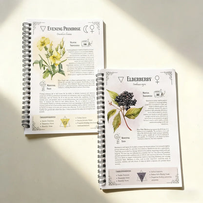 Natural Healing Handbook Spiral Bound Guide with Herbal Remedies and Recipes for Heart Health Blood Sugar Focus Boost 25X17.6Cm